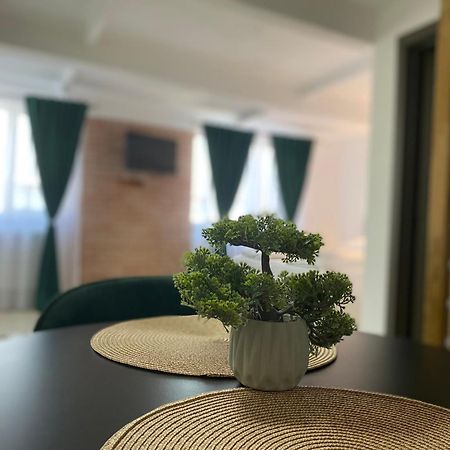 Wonderland Apartment Bystrzyca Zewnętrze zdjęcie