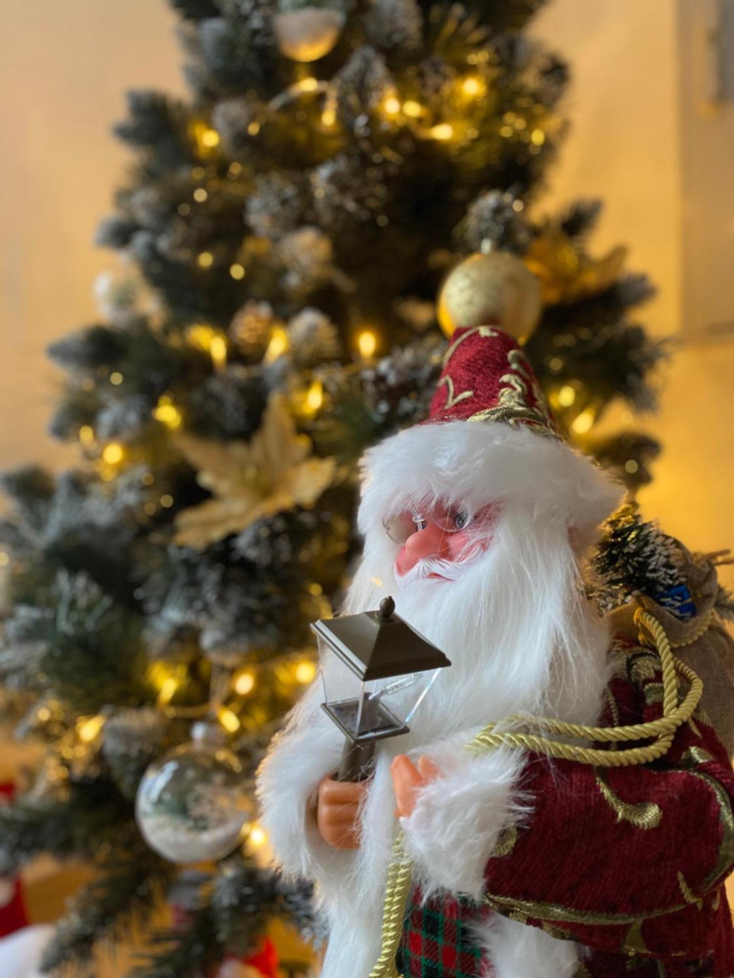 Wonderland Apartment Bystrzyca Zewnętrze zdjęcie