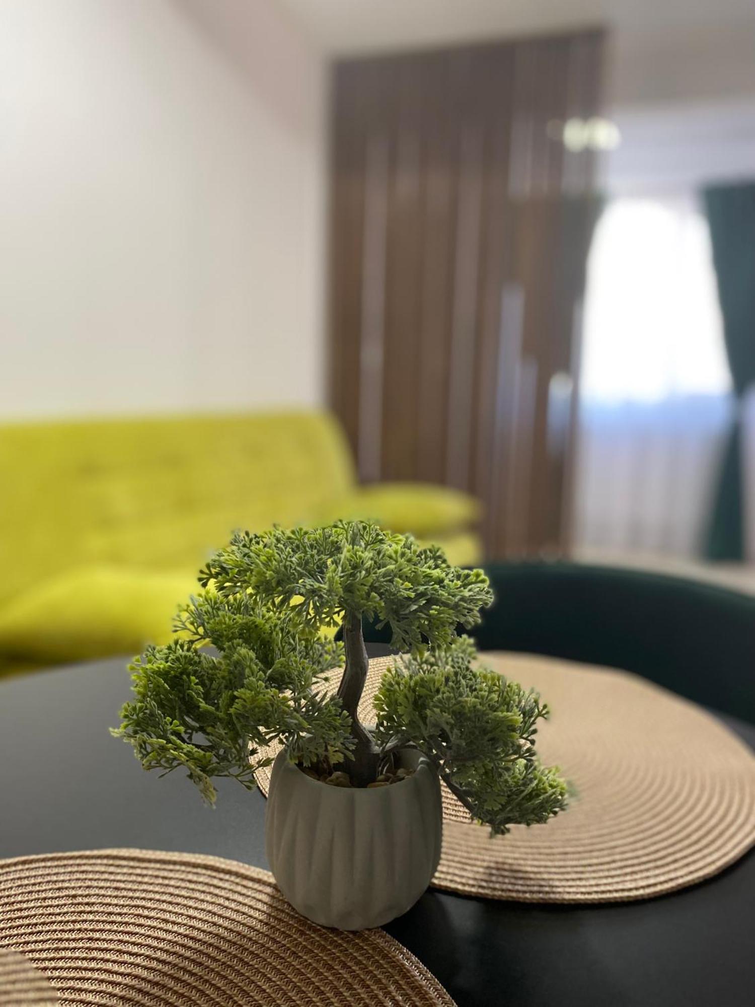 Wonderland Apartment Bystrzyca Zewnętrze zdjęcie